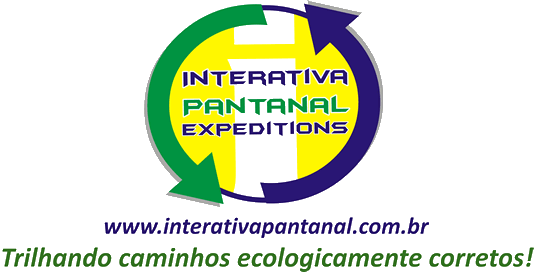 Logo Interativa