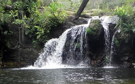 Cuiabá - MT - Brasil